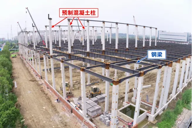 图2.webp 图2.webp